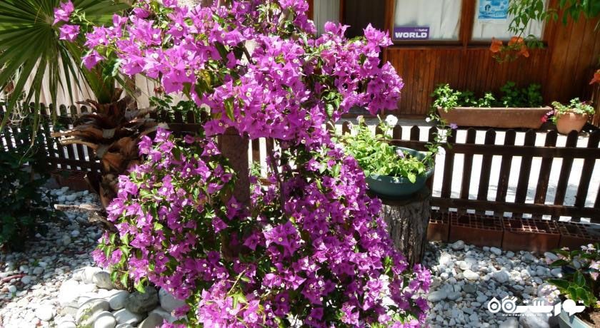 گل کاری در فضای سبز هتل